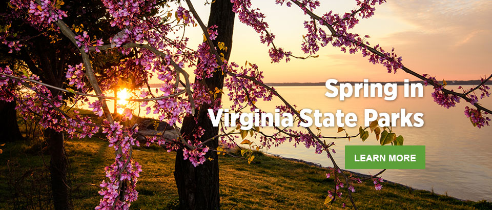 Spring in Virginia State Parks Spring in Virginia State Parks