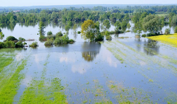 Flooded field - source - https://www.earth.com/news/flooding-help-river-ecosystems/