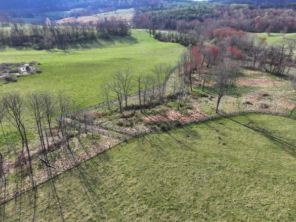 Riparian Buffers on Pohick Farm
