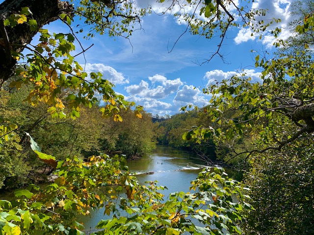 clinch river extension by Ricky Barton/OAC