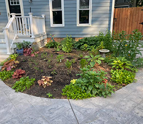 Navtive plants going in