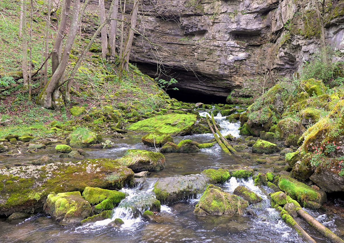 maden spring. photo by katarina ficco.