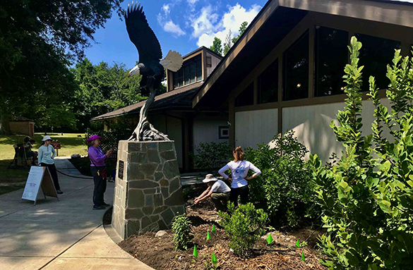 Mason Neck State Park