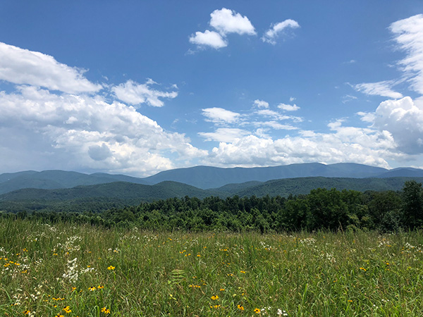 Ridgeline view from Natural Bridge State Park