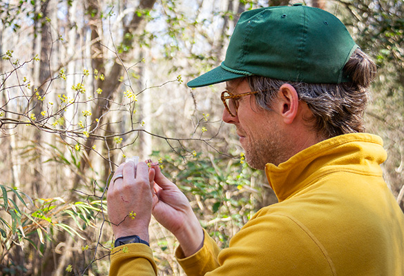 Bradford exams the pondspice flowers
