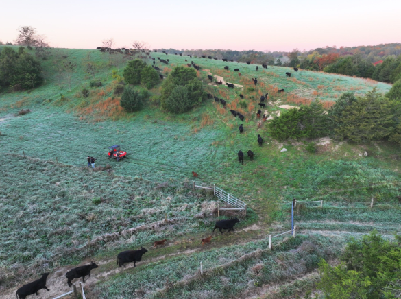 Rotational Grazing