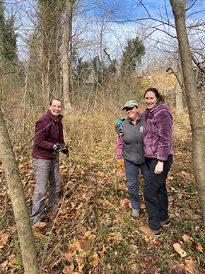 Staff removing invasives