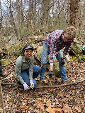 Staff removing invasives