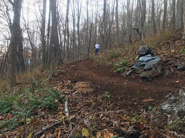 Buffalo Mountain NAP Ridge Trail