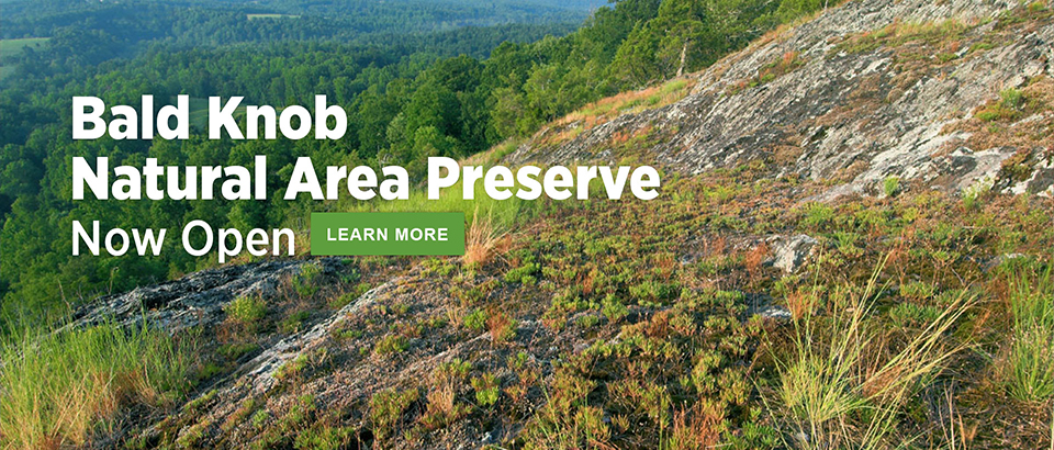 Bald Knob Natural Area Preserve now open