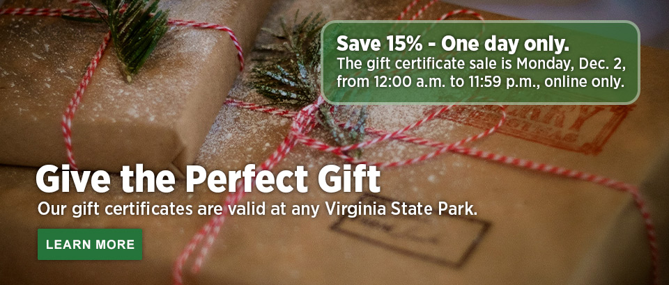 Save on gift certificates on Cyber Monday