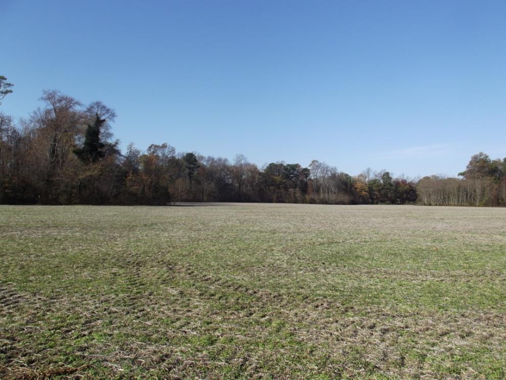 ditchley-6.jpeg ditchley-6.jpeg