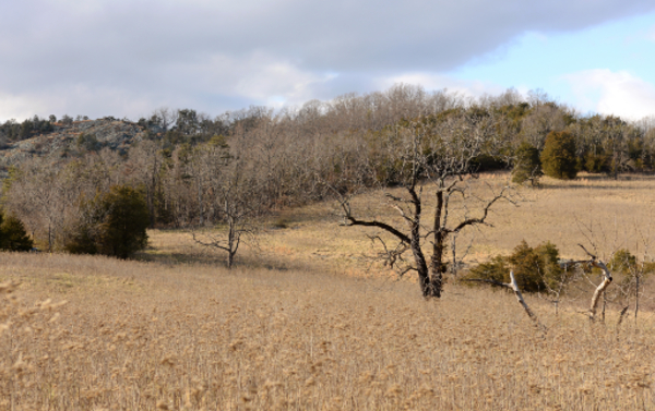 Bald Knob Natural Area Preserve