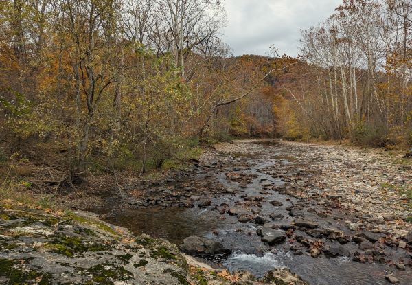 Brocks Gap Natural Area Preserve