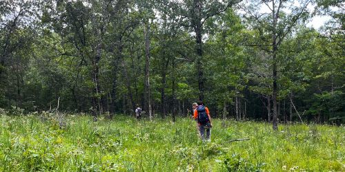 photo of The Cedars natural area preserve
