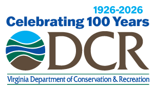DCR 100th anniversary logo