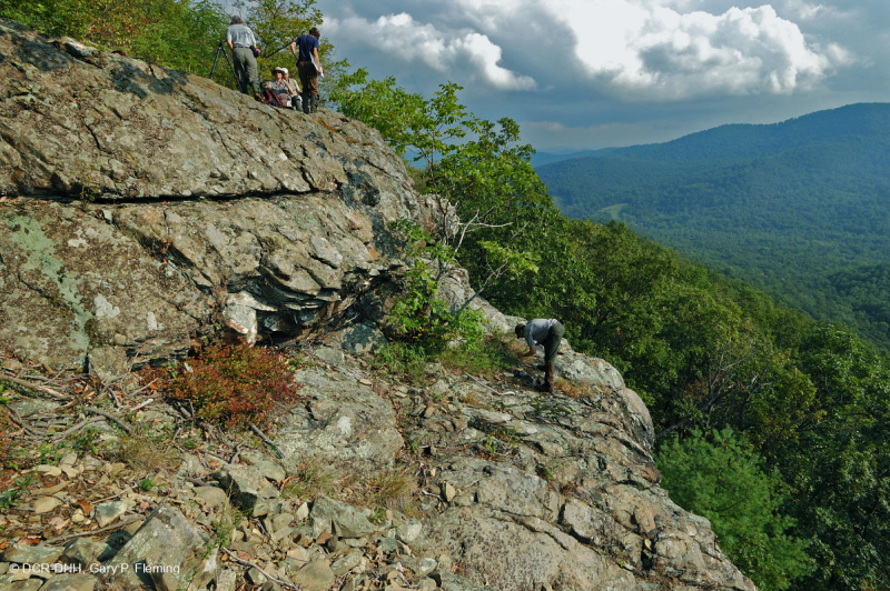 Central Appalachian Mafic / Calcareous Barren (Mid-Elevation Type) – CEGL008529