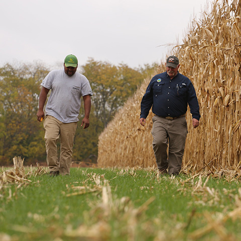 walking in a field