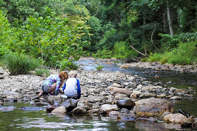 8 parks with waterfront campsites