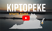 YouTube videos for Kiptopeke State Park