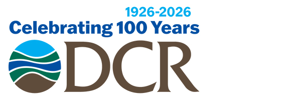 2026-04-01-13-18-14-393410-wg5