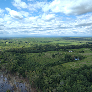Falkland State Conservation Area