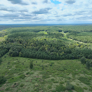 aerial view of Falkland State Conservation Area