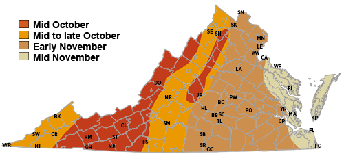 Fall color prediction map