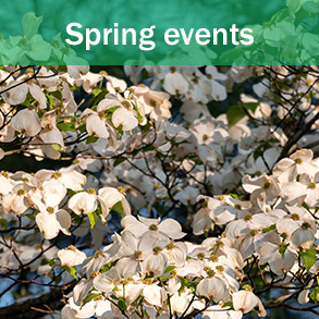 Spring events