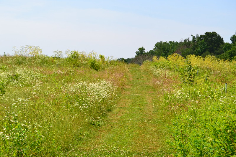 trail at Powhatan State Park