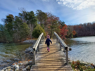 Hike to Turtle Island at Smith Mountain Lake State Park