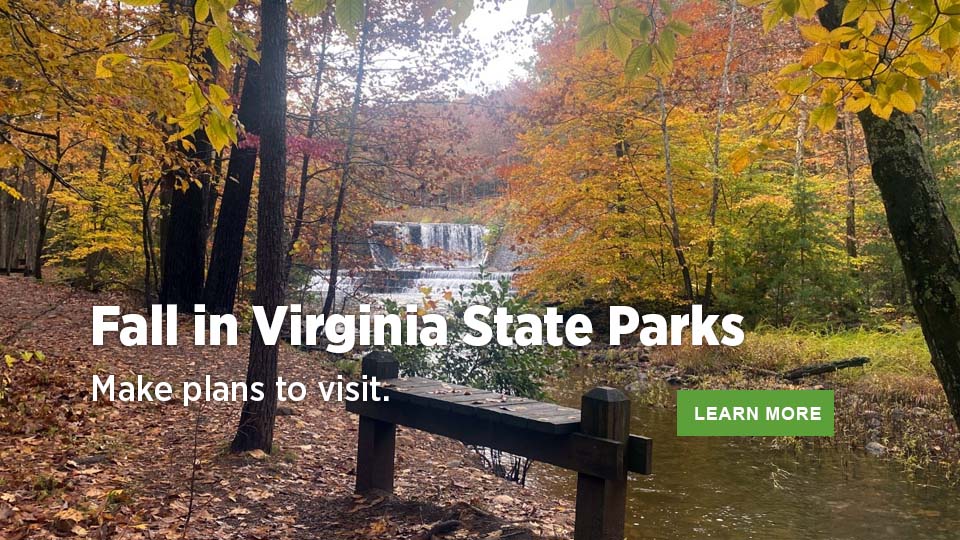 Fall in Virginia State Parks