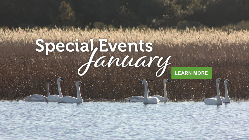 January events in Virginia State Parks