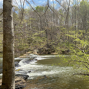 future Mayo River State Park